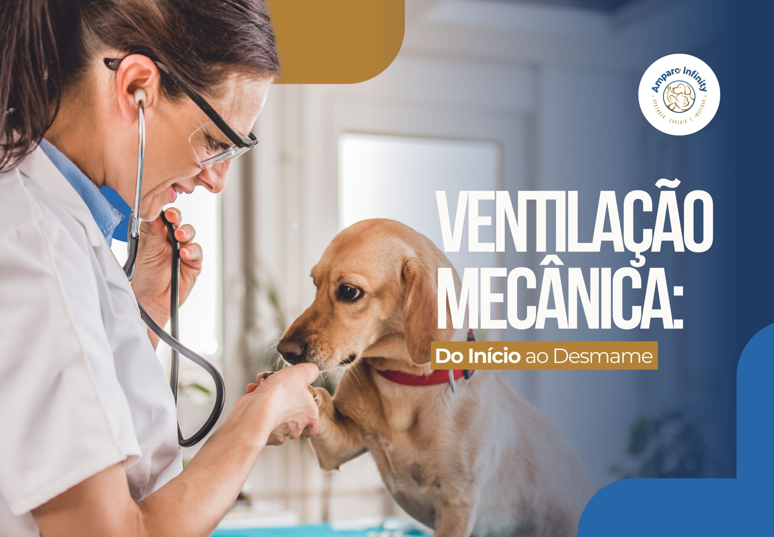 Ventilação Mecânica