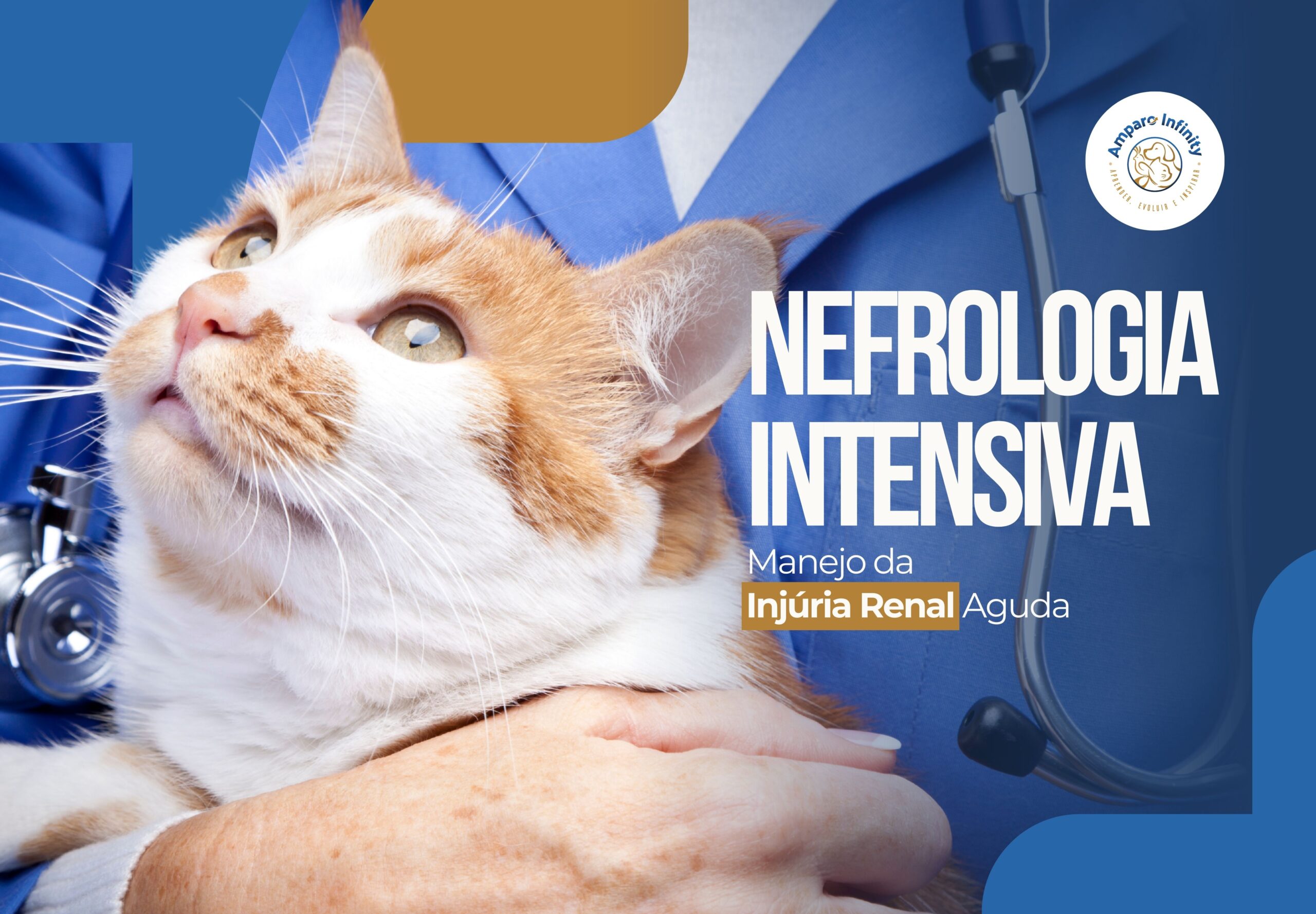 Nefrologia Intensiva